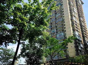 宜居优选 满两年西北向两居室，方正户型诠释品质生活